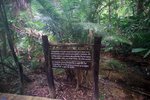 Hot Spring Waterfall & Emerald Pool 14