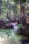 Hot Spring Waterfall & Emerald Pool 16