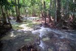 Hot Spring Waterfall & Emerald Pool 17
