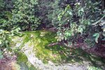 Hot Spring Waterfall & Emerald Pool 18