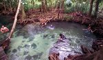 Hot Spring Waterfall & Emerald Pool 1