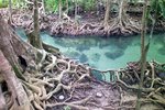 Hot Spring Waterfall & Emerald Pool 2