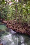 Hot Spring Waterfall & Emerald Pool 3
