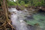 Hot Spring Waterfall & Emerald Pool 4