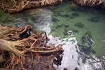 Hot Spring Waterfall & Emerald Pool 9