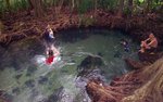 Hot Spring Waterfall & Emerald Pool 10