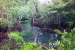 Hot Spring Waterfall & Emerald Pool 11