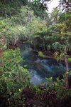 Hot Spring Waterfall & Emerald Pool 12