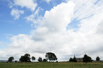 _SCN0049