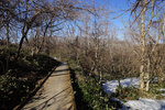 DSC00158