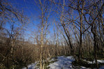 DSC00160