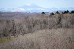 DSC04815