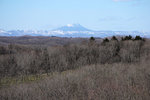DSC04816