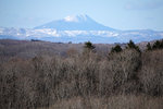 DSC04834