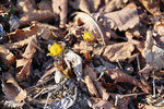 DSC04836