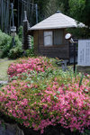 DSCF1344