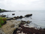 P1050884