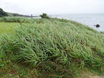 P1050886