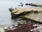 P1050894