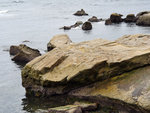 P1050895