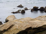 P1050896