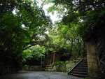 P1050906