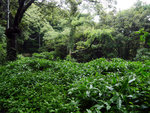 P1050912