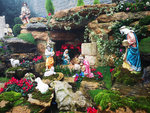 IMG_20181227_112135