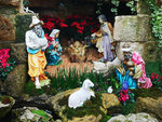 IMG_20181227_112148