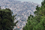 P1266895