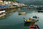 LAMMA ISLAND 6