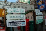 LAMMA ISLAND 7