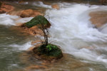 KUANG SI WATERFALL_3