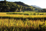 SANTI RESORT_3