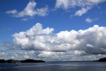 IMG_6005