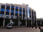 P1466913