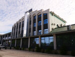 P1466916