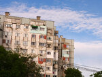 P1466918
