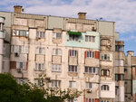 P1466919