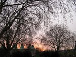 IMG_2708