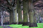 IMG_3859