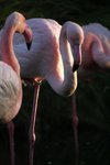 IMG_3951