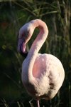 IMG_3956