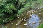 DSCF2926