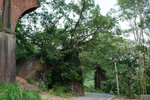 DSCF2935