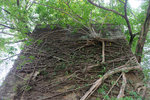 DSCF2942