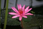 HKL_0073
