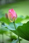 HKL_0081