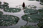 IMG_9151