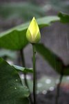 IMG_9193